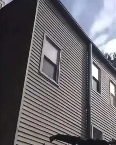 Ran Off Like a Deer Caught In a Fence