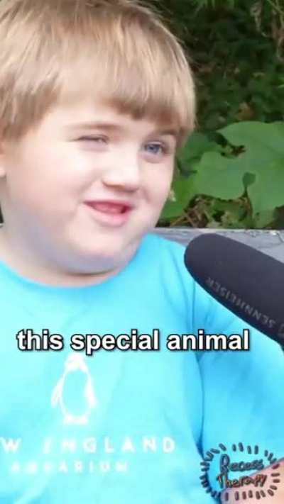 me talking about my special interest of crocodilians