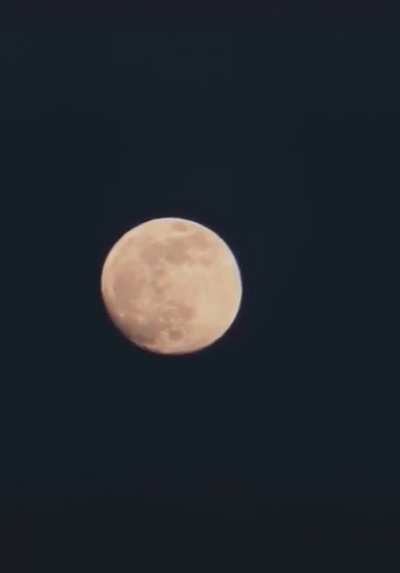 🌑