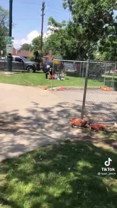 Doing 40 in a 30 mph zone