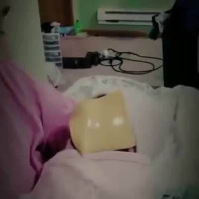 Queso