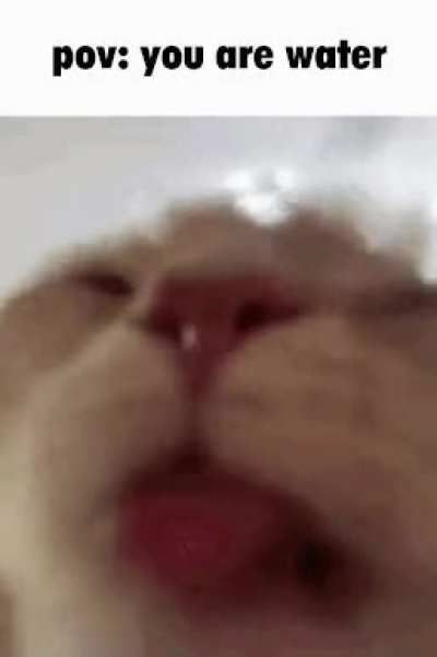 Blub blub