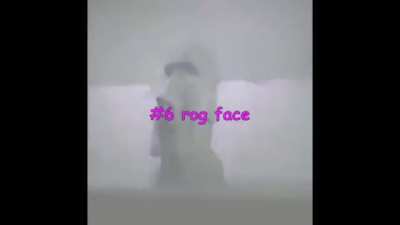 top ten pinj floud funnies