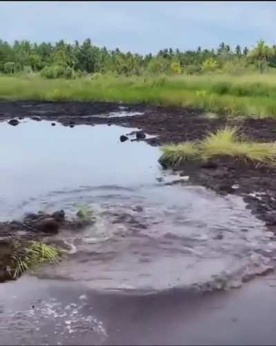 Maybe maybe maybe