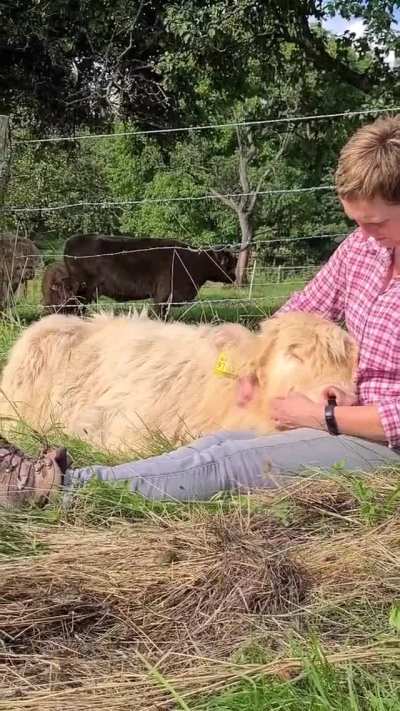 Head on lap
