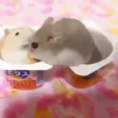 RATARATARATARATA
