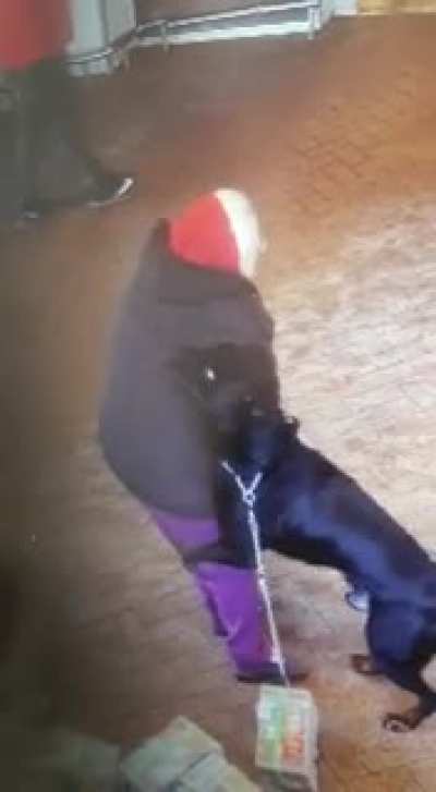 What a friendly dog