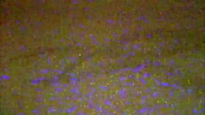 Security Breach TV now has hidden tentacles in the static. I increased the contrast to make them more visible here.