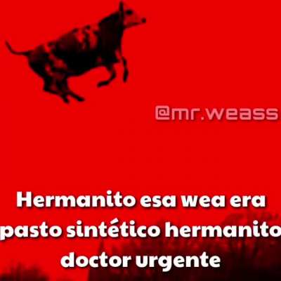 M&eacute;dico