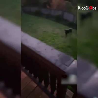 Old man disappears