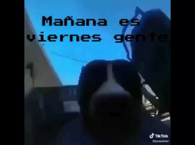 saludos licenciados