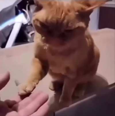 &ldquo;SAM!&rdquo;