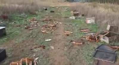 People Destroyed Hundreds of Bee Hives in South Africa