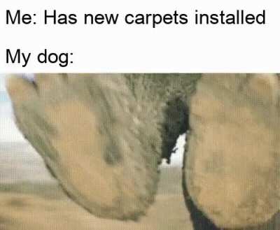 Damn it, Buster!