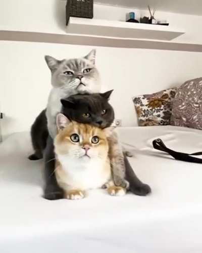 It&rsquo;s time for photo shoot