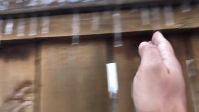 Carol of the icicles with a shank