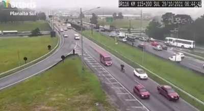 Parrot (A. aestiva) appears looking at road camera in Paran&aacute;, Brazil