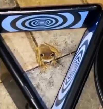 Hehehehehe