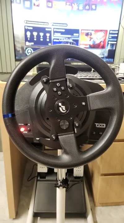 Thrustmaster T300 RS setup problem