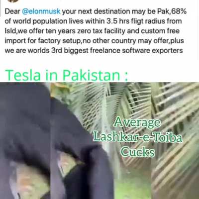 Tesla🇵🇰🦆.