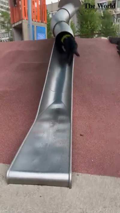 A Boston Police officer sustained a head injury after a violent ride down a giant metal slide at a playground on Congress St downtown. Boston EMS treated the officer.