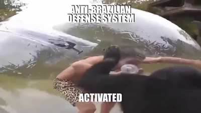 Jaja Brasil