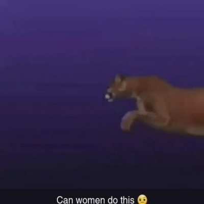 Tampedo