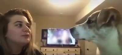 Did you just understand me