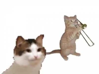Meme sano 