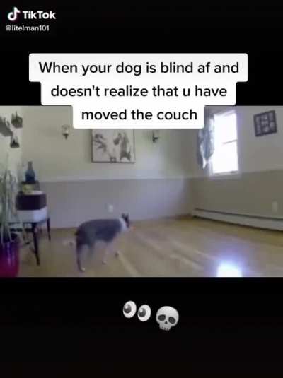 Poor puppy
