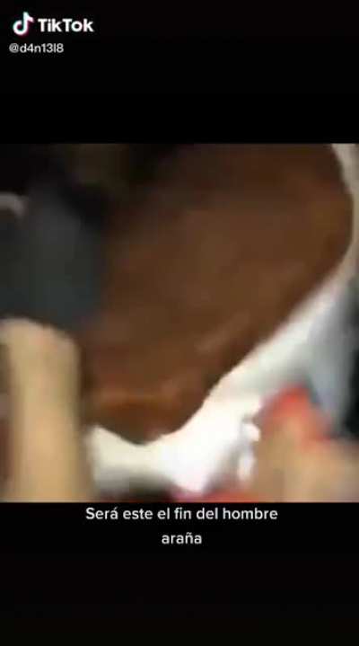 No hombre ara&ntilde;a