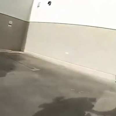 [USA] Convenient cop on completely unrelated call catches a shoplifter exiting through the back of a business.