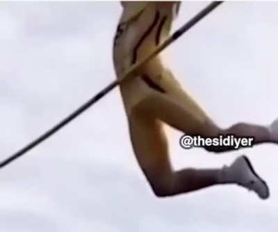 Pole to pole