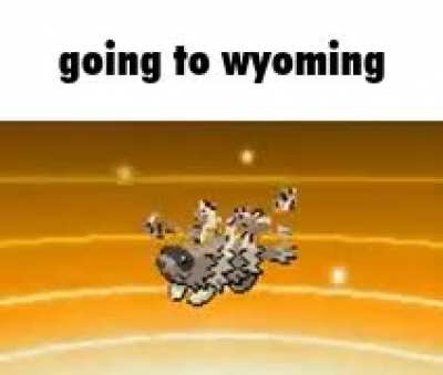 NOOO