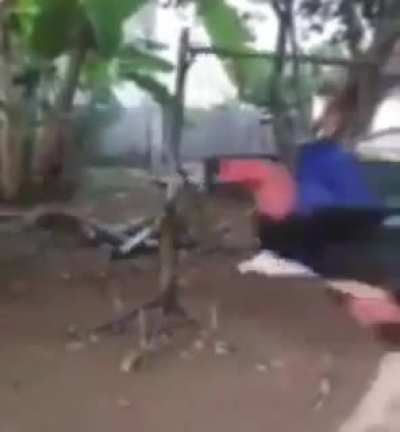 Ai Ai Ai Ai