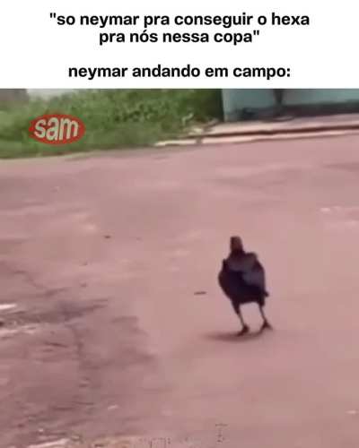 🥀🕊️🖤 ....