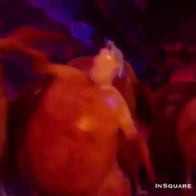 We love the chicken dance