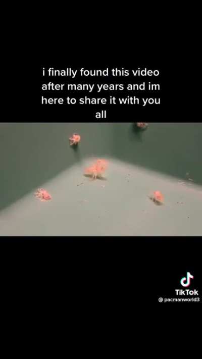 This was so awesome