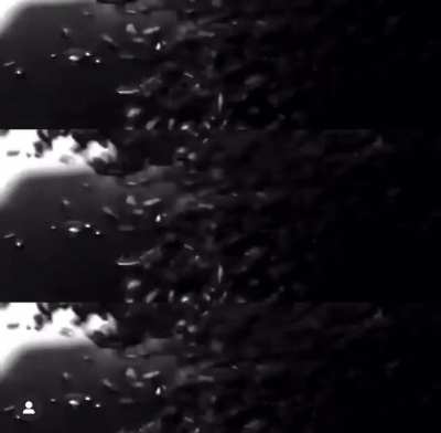 Taking this video posted by Team SA with a grain of salt but who knows? They got the poster leak