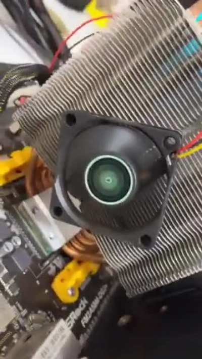 Losercity cooler