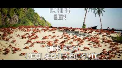 Hed was tog niet de carono vierus!!1! Bedankd dokder!1!!!1!!&eacute;&eacute;n!!!!