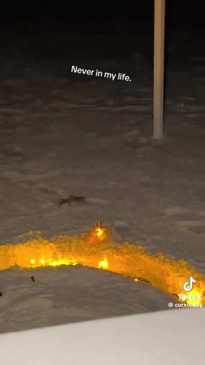 Crab thief