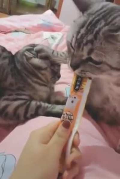 No Sharing