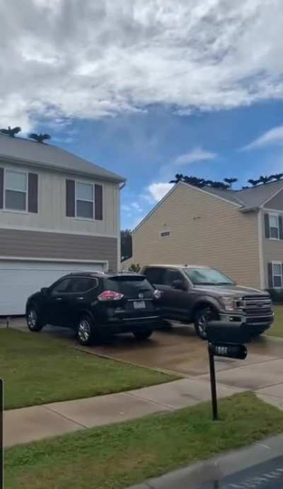 "Mom! The vultures are being creepy again!"