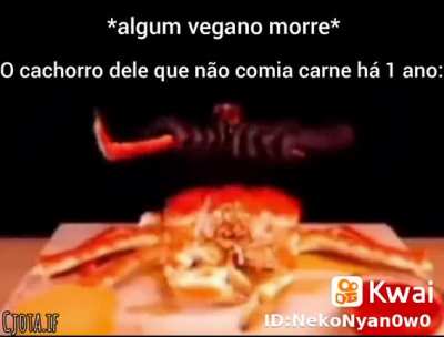 Tu ai