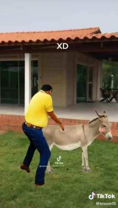 Oaxaca ser como: