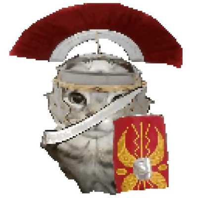Me: "man, I sure do wish that I could have a good sparring partner." The thoughtful gladiator:
