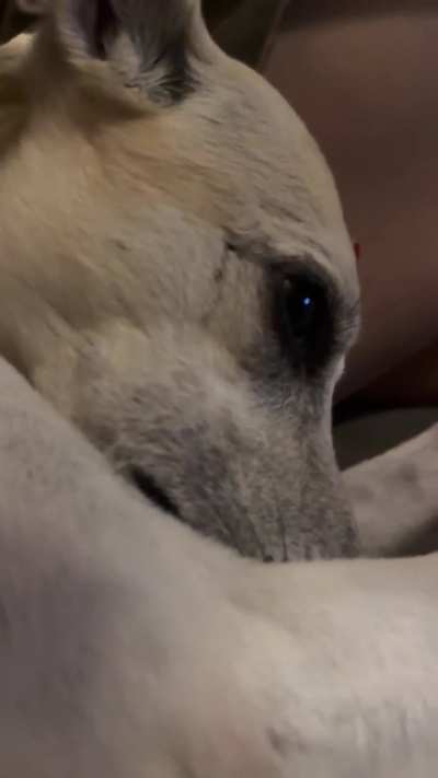 I didn&rsquo;t want to wake her up