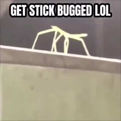 EA