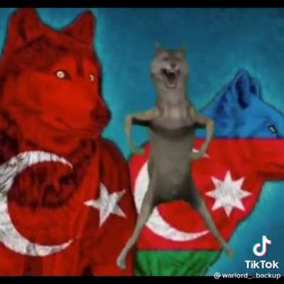 🐺🇹🇷🇦🇿🏳️&zwj;🌈🤘🏿